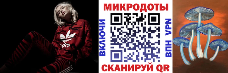 купить наркотик  Борисоглебск  Галлюциногенные грибы Psilocybe 